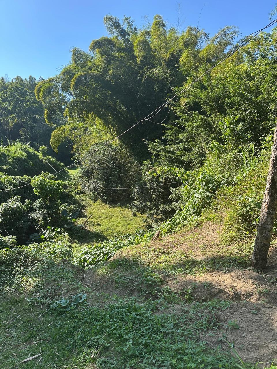 Rural-Retreat-for-Sale-in-St.-Andrew-Jamaica-3.5-Acre-Lot Eleventh image of Lot 178- Part of Golden Spring in GOLDEN SPRING, St. Andrew, Jamaica - property is For Sale