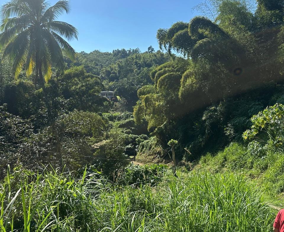 Twelfth image of Lot 178- Part of Golden Spring in GOLDEN SPRING, St. Andrew, Jamaica - property is For Sale