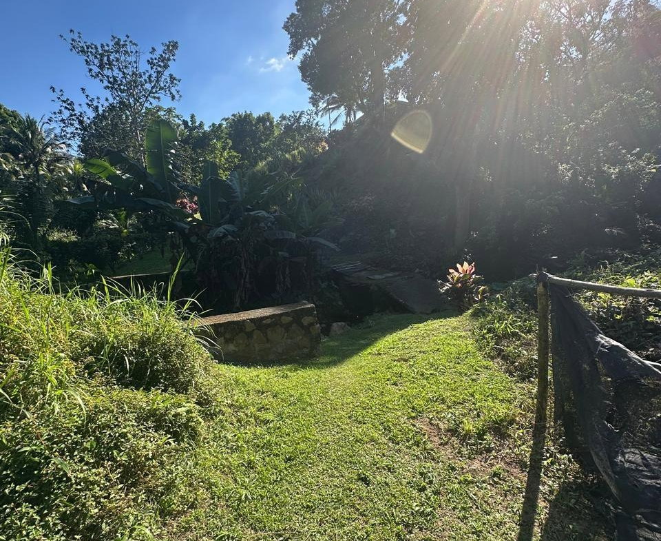 Thirteenth image of Lot 178- Part of Golden Spring in GOLDEN SPRING, St. Andrew, Jamaica - property is For Sale