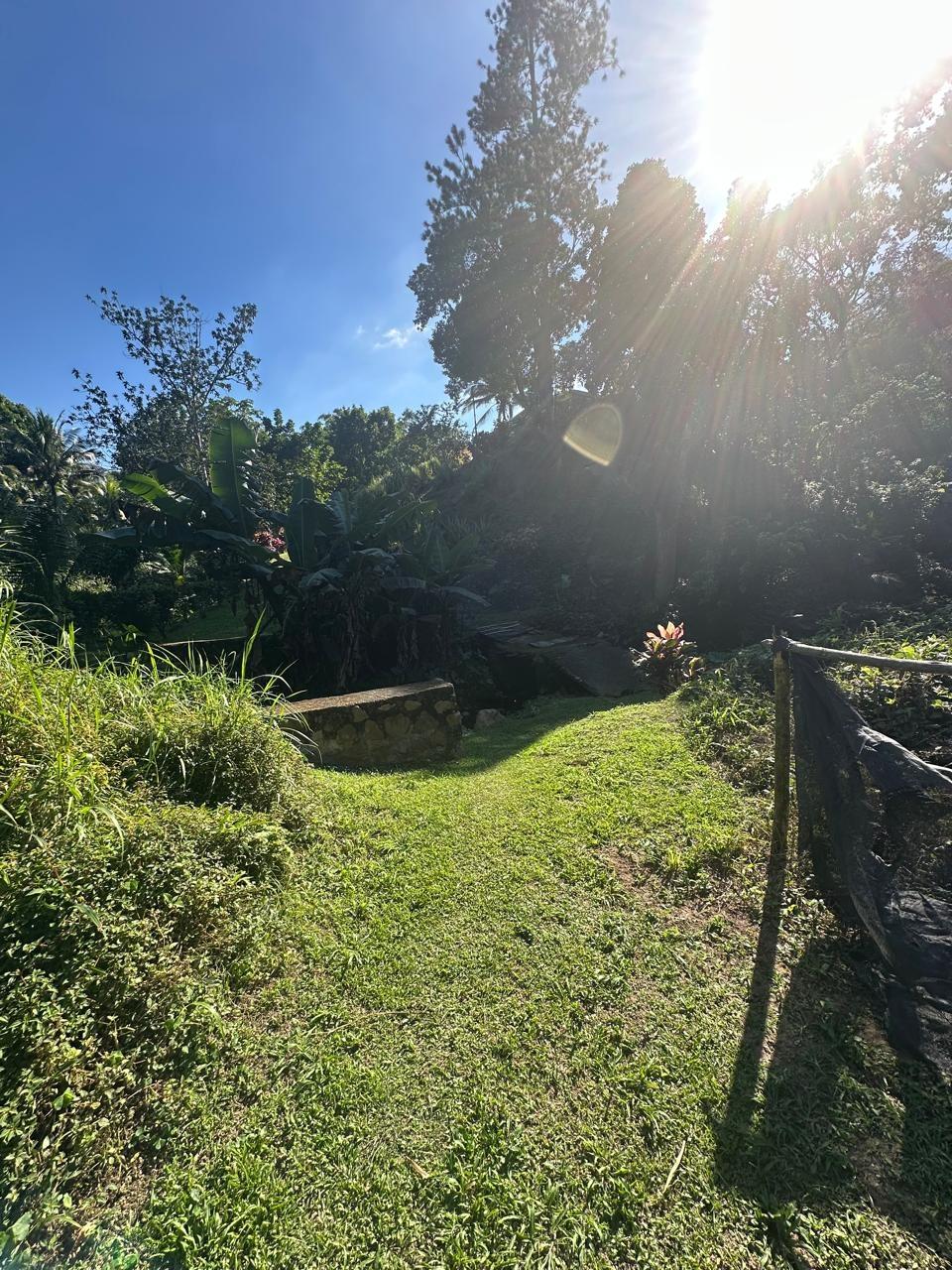 Rural-Retreat-for-Sale-in-St.-Andrew-Jamaica-3.5-Acre-Lot Thirteenth image of Lot 178- Part of Golden Spring in GOLDEN SPRING, St. Andrew, Jamaica - property is For Sale