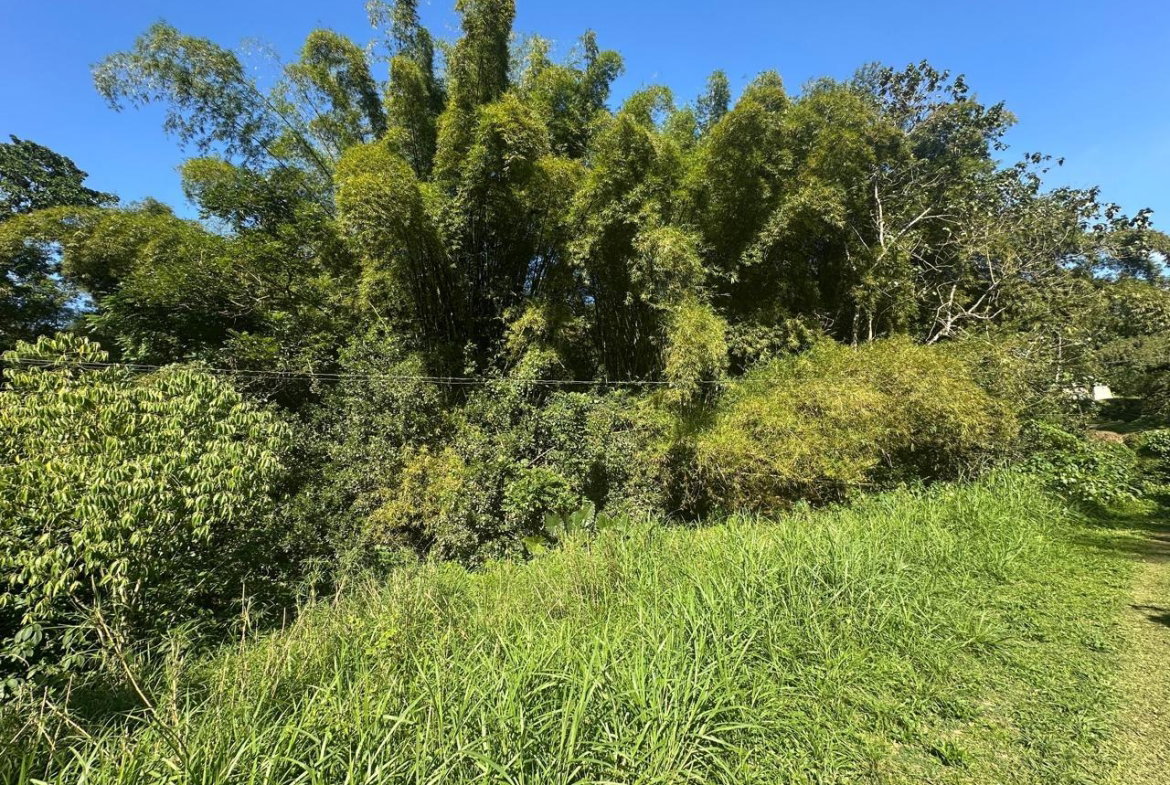 Third image of Lot 178- Part of Golden Spring in GOLDEN SPRING, St. Andrew, Jamaica - property is For Sale