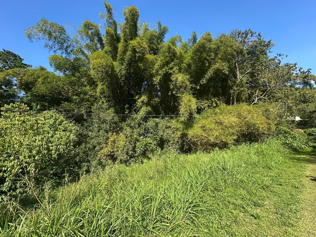 Rural-Retreat-for-Sale-in-St.-Andrew-Jamaica-3.5-Acre-Lot Third image of Lot 178- Part of Golden Spring in GOLDEN SPRING, St. Andrew, Jamaica - property is For Sale