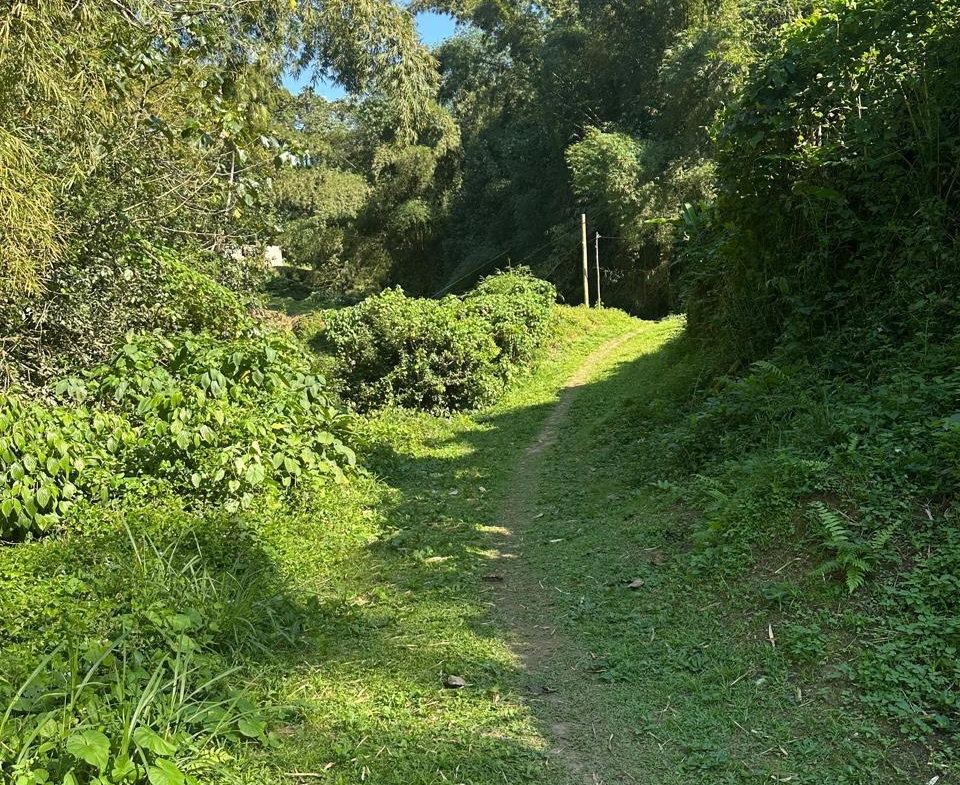 Fourth image of Lot 178- Part of Golden Spring in GOLDEN SPRING, St. Andrew, Jamaica - property is For Sale