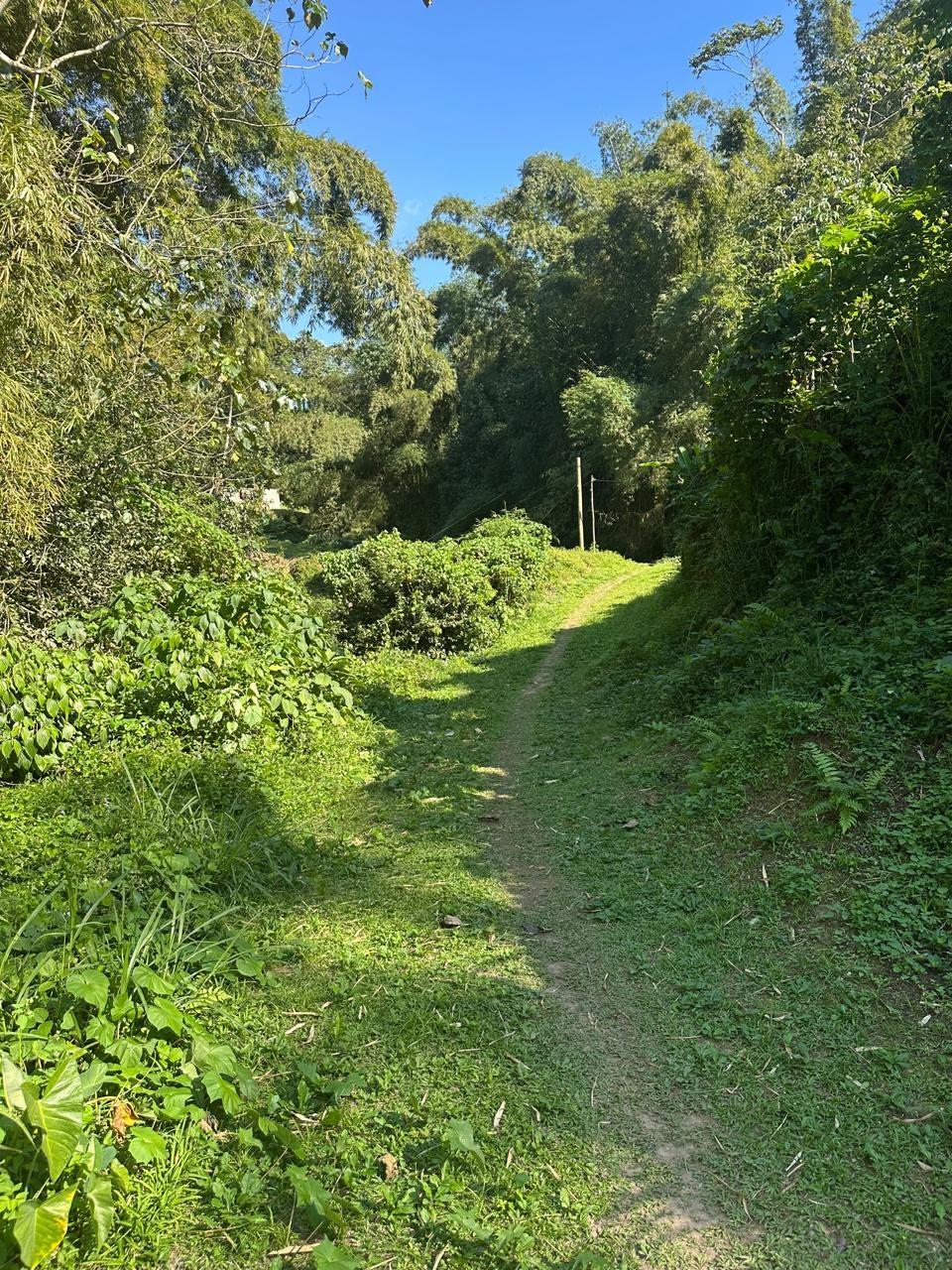 Rural-Retreat-for-Sale-in-St.-Andrew-Jamaica-3.5-Acre-Lot Fourth image of Lot 178- Part of Golden Spring in GOLDEN SPRING, St. Andrew, Jamaica - property is For Sale