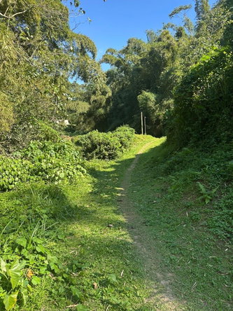 Fourth image of Lot 178- Part of Golden Spring in GOLDEN SPRING, St. Andrew, Jamaica - property is For Sale