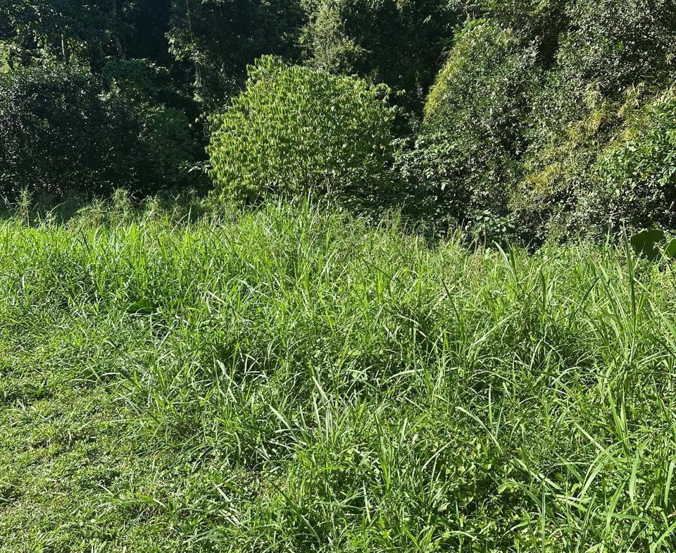 Fifth image of Lot 178- Part of Golden Spring in GOLDEN SPRING, St. Andrew, Jamaica - property is For Sale