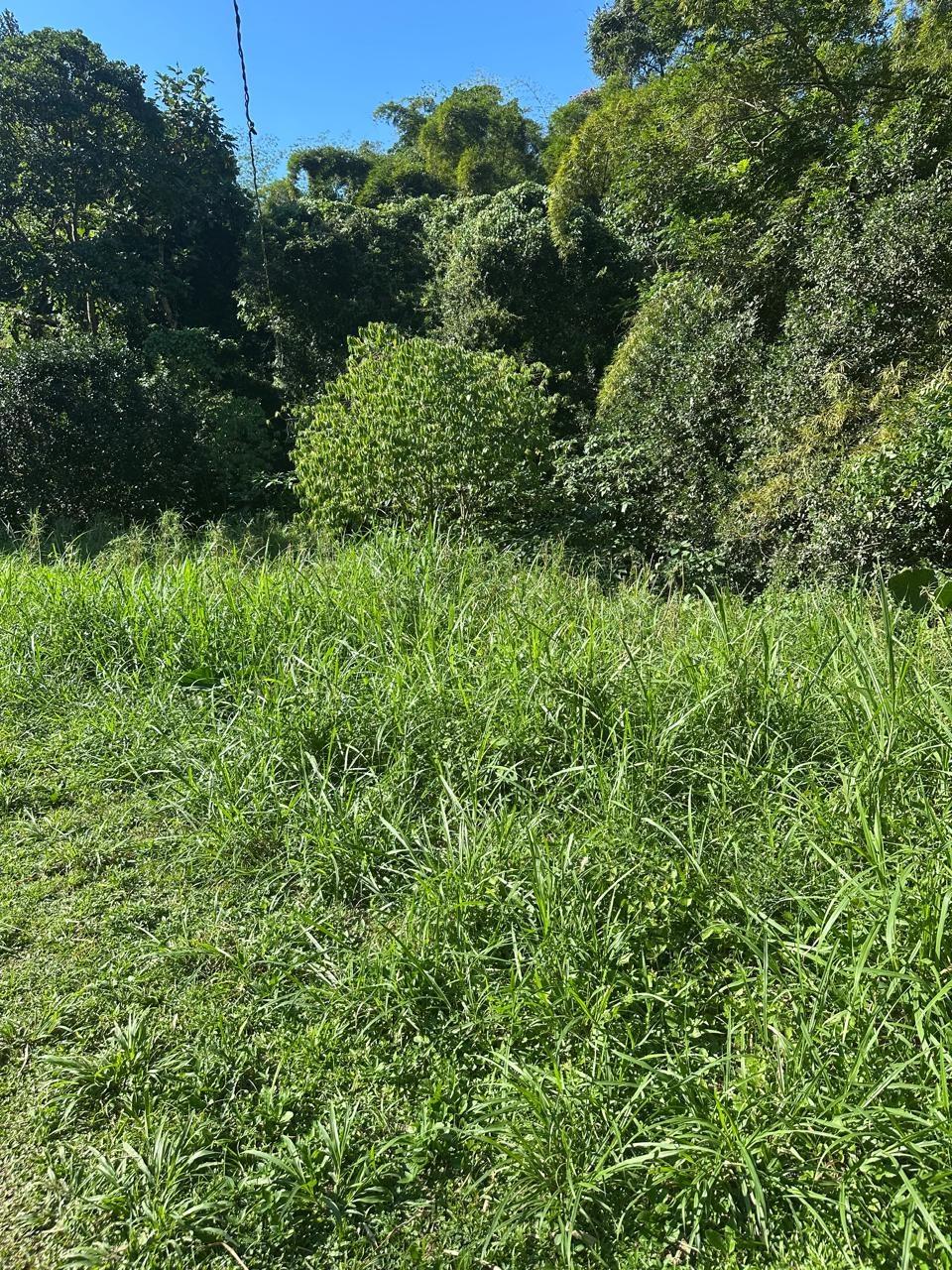 Rural-Retreat-for-Sale-in-St.-Andrew-Jamaica-3.5-Acre-Lot Fifth image of Lot 178- Part of Golden Spring in GOLDEN SPRING, St. Andrew, Jamaica - property is For Sale