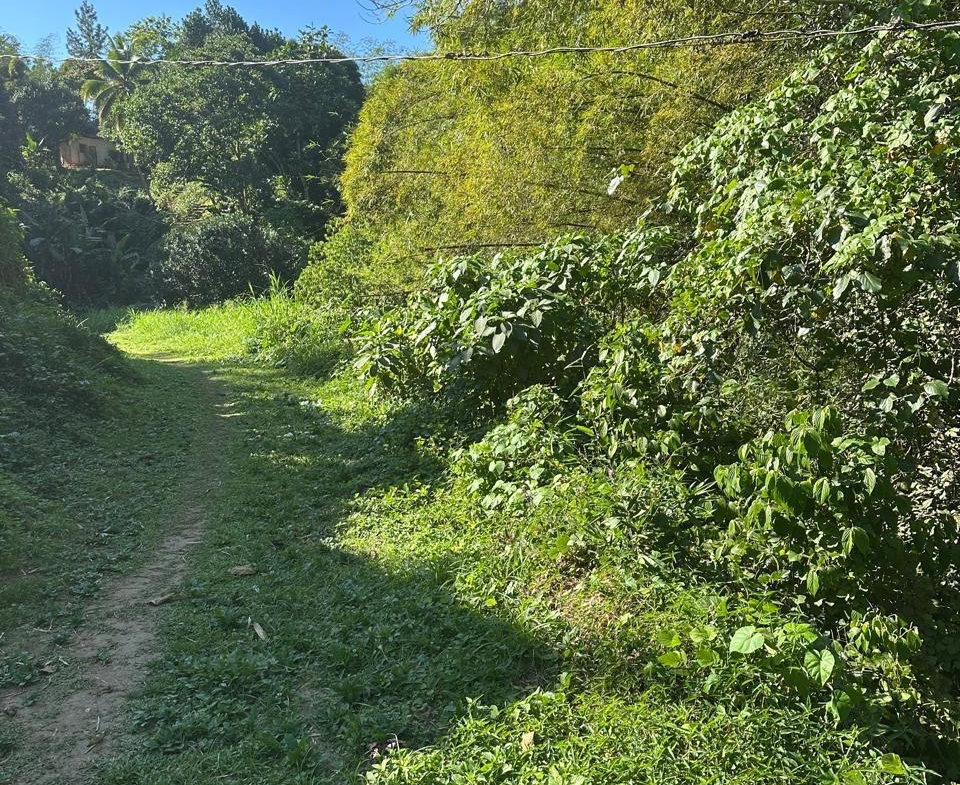 Sixth image of Lot 178- Part of Golden Spring in GOLDEN SPRING, St. Andrew, Jamaica - property is For Sale