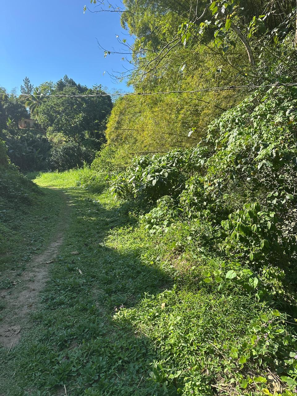 Rural-Retreat-for-Sale-in-St.-Andrew-Jamaica-3.5-Acre-Lot Sixth image of Lot 178- Part of Golden Spring in GOLDEN SPRING, St. Andrew, Jamaica - property is For Sale