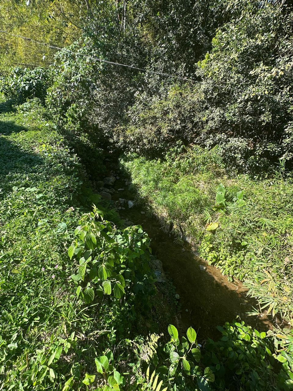 Rural-Retreat-for-Sale-in-St.-Andrew-Jamaica-3.5-Acre-Lot Seventh image of Lot 178- Part of Golden Spring in GOLDEN SPRING, St. Andrew, Jamaica - property is For Sale