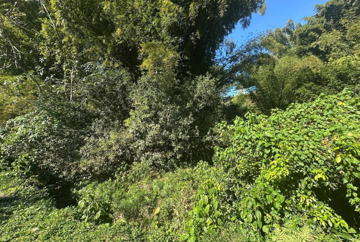 Eighth image of Lot 178- Part of Golden Spring in GOLDEN SPRING, St. Andrew, Jamaica - property is For Sale