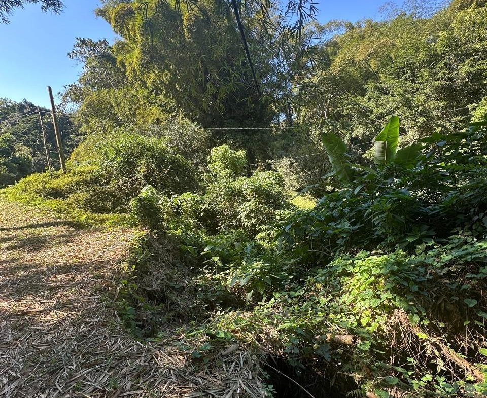 Ninth image of Lot 178- Part of Golden Spring in GOLDEN SPRING, St. Andrew, Jamaica - property is For Sale