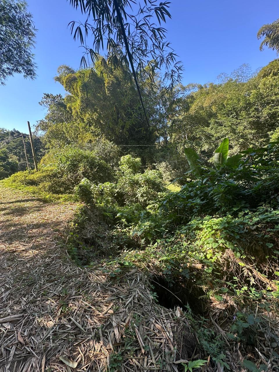 Rural-Retreat-for-Sale-in-St.-Andrew-Jamaica-3.5-Acre-Lot Ninth image of Lot 178- Part of Golden Spring in GOLDEN SPRING, St. Andrew, Jamaica - property is For Sale