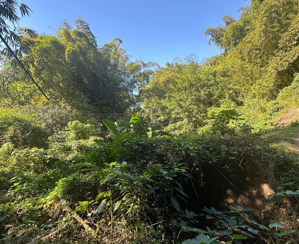 Tenth image of Lot 178- Part of Golden Spring in GOLDEN SPRING, St. Andrew, Jamaica - property is For Sale