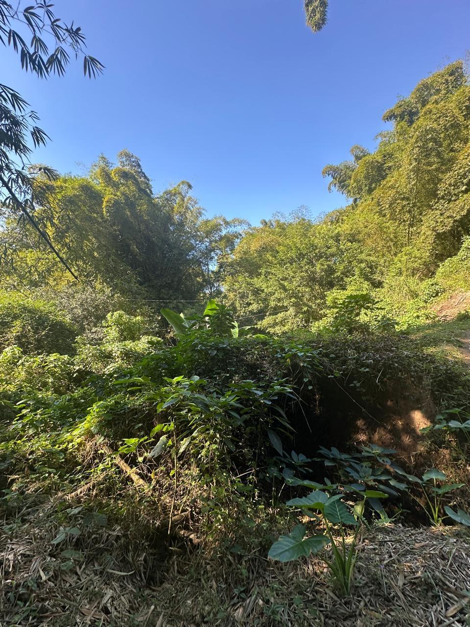 Rural-Retreat-for-Sale-in-St.-Andrew-Jamaica-3.5-Acre-Lot Tenth image of Lot 178- Part of Golden Spring in GOLDEN SPRING, St. Andrew, Jamaica - property is For Sale