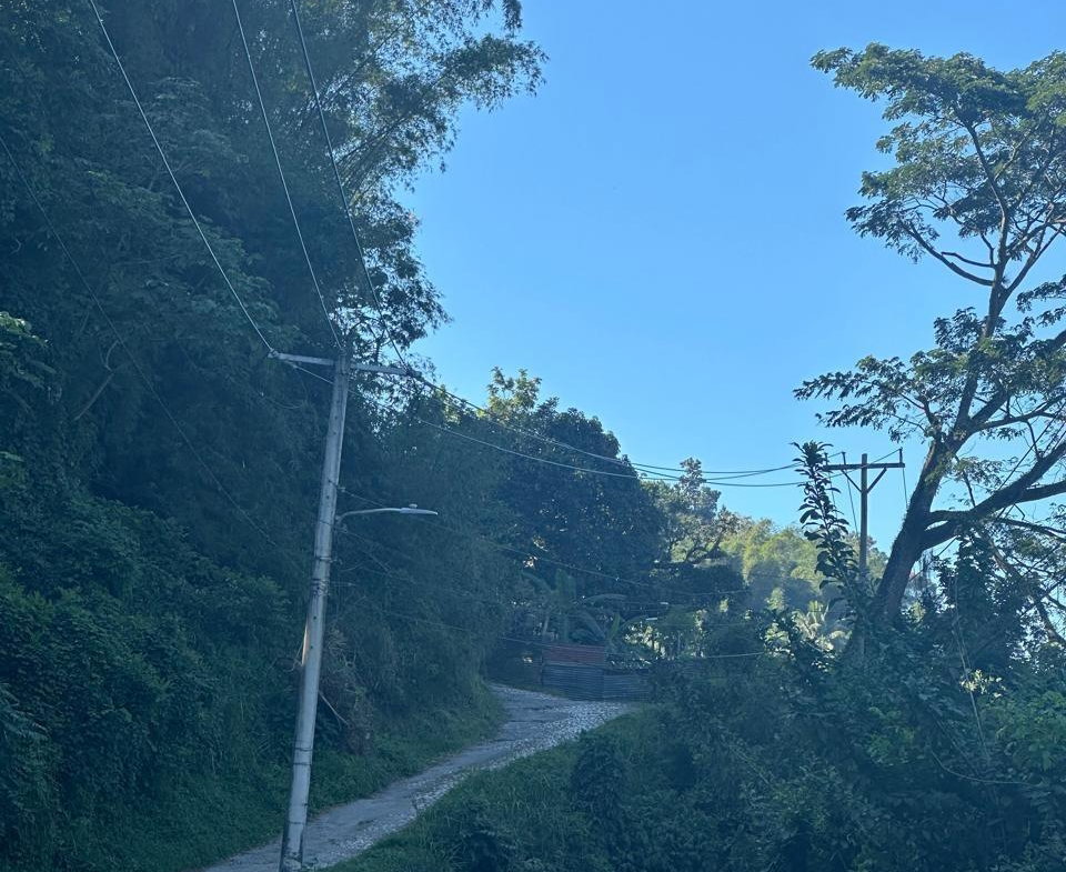 First image of Lot 178- Part of Golden Spring in GOLDEN SPRING, St. Andrew, Jamaica - property is For Sale