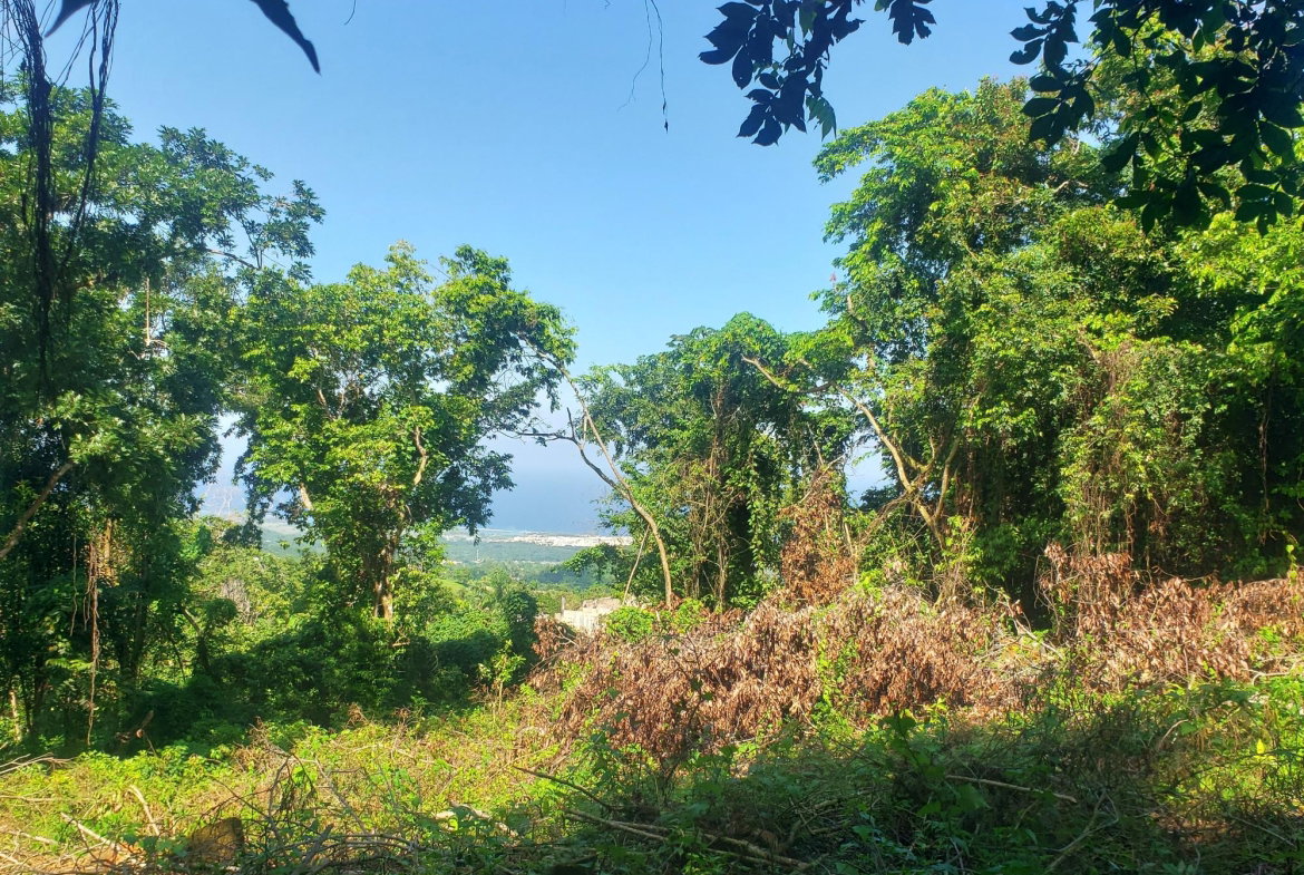 Second image of 268 Seville, Farmer's Heights in St. Ann's Bay, St. Ann, Jamaica - property is For Sale