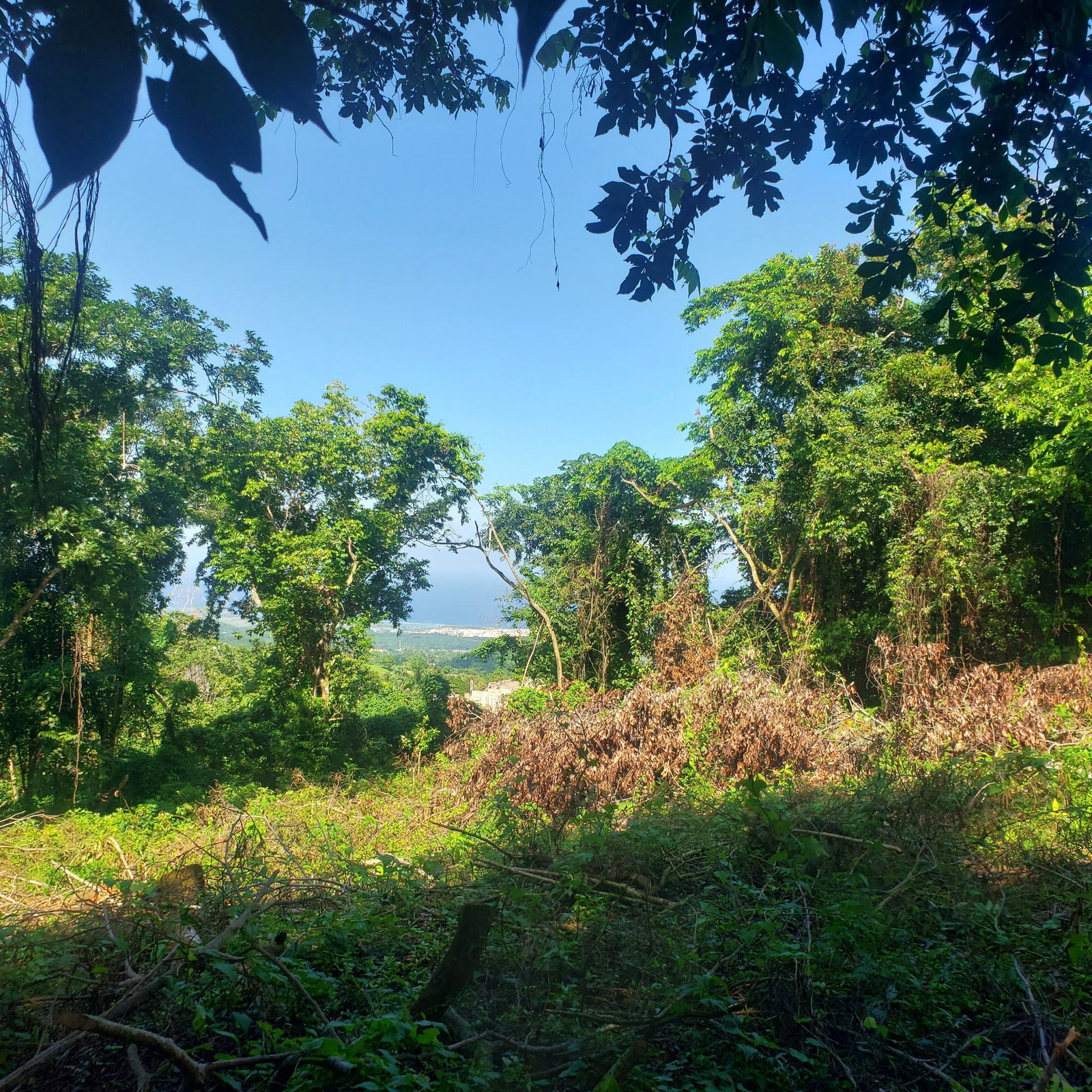Sea-View-Residential-Lot-for-Sale-in-Farmers-Heights-Jamaica Second image of 268 Seville, Farmer's Heights in St. Ann's Bay, St. Ann, Jamaica - property is For Sale