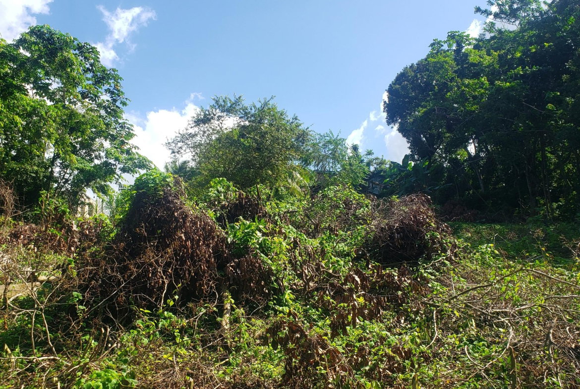 Third image of 268 Seville, Farmer's Heights in St. Ann's Bay, St. Ann, Jamaica - property is For Sale