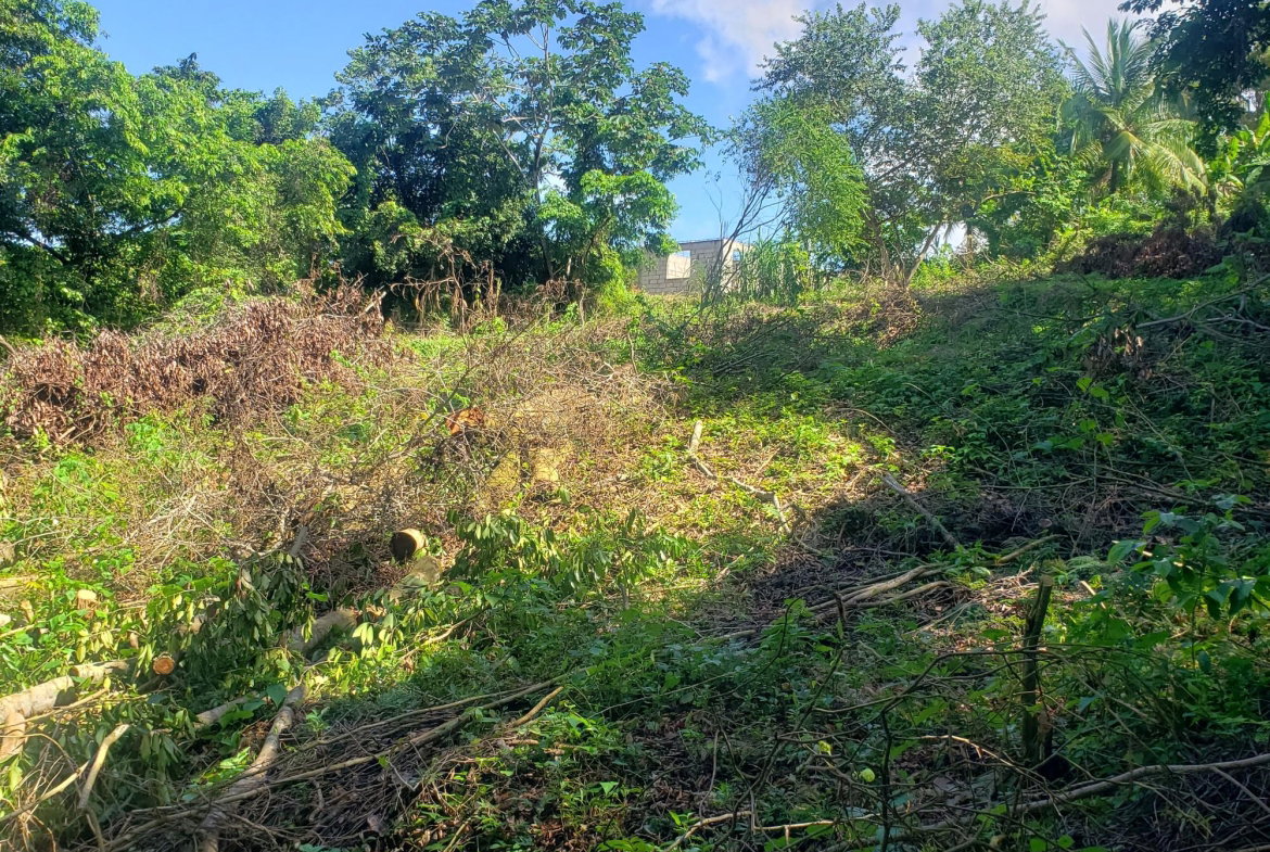 Fourth image of 268 Seville, Farmer's Heights in St. Ann's Bay, St. Ann, Jamaica - property is For Sale