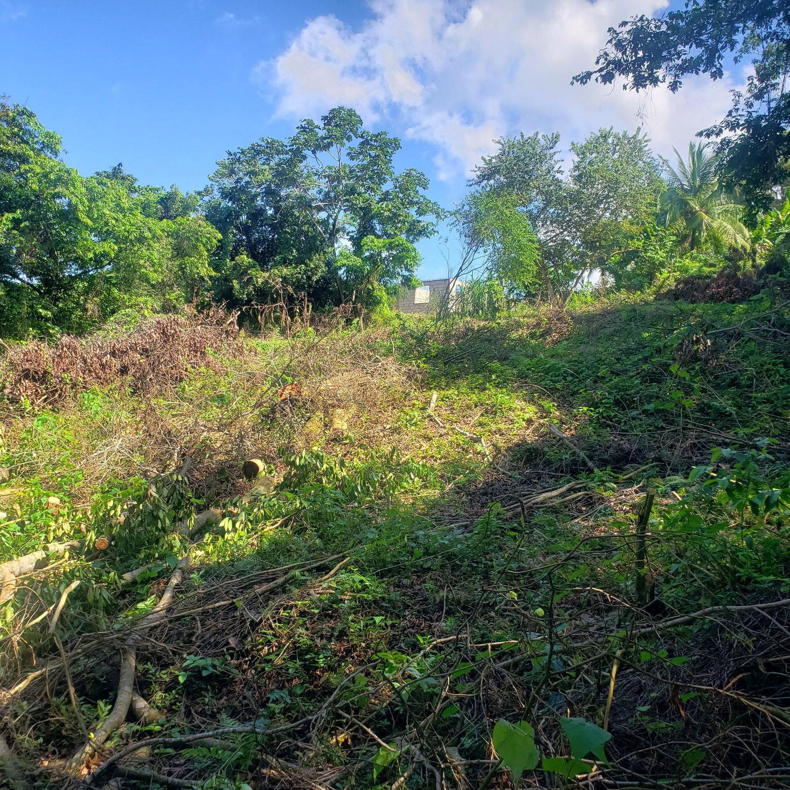 Sea-View-Residential-Lot-for-Sale-in-Farmers-Heights-Jamaica Fourth image of 268 Seville, Farmer's Heights in St. Ann's Bay, St. Ann, Jamaica - property is For Sale