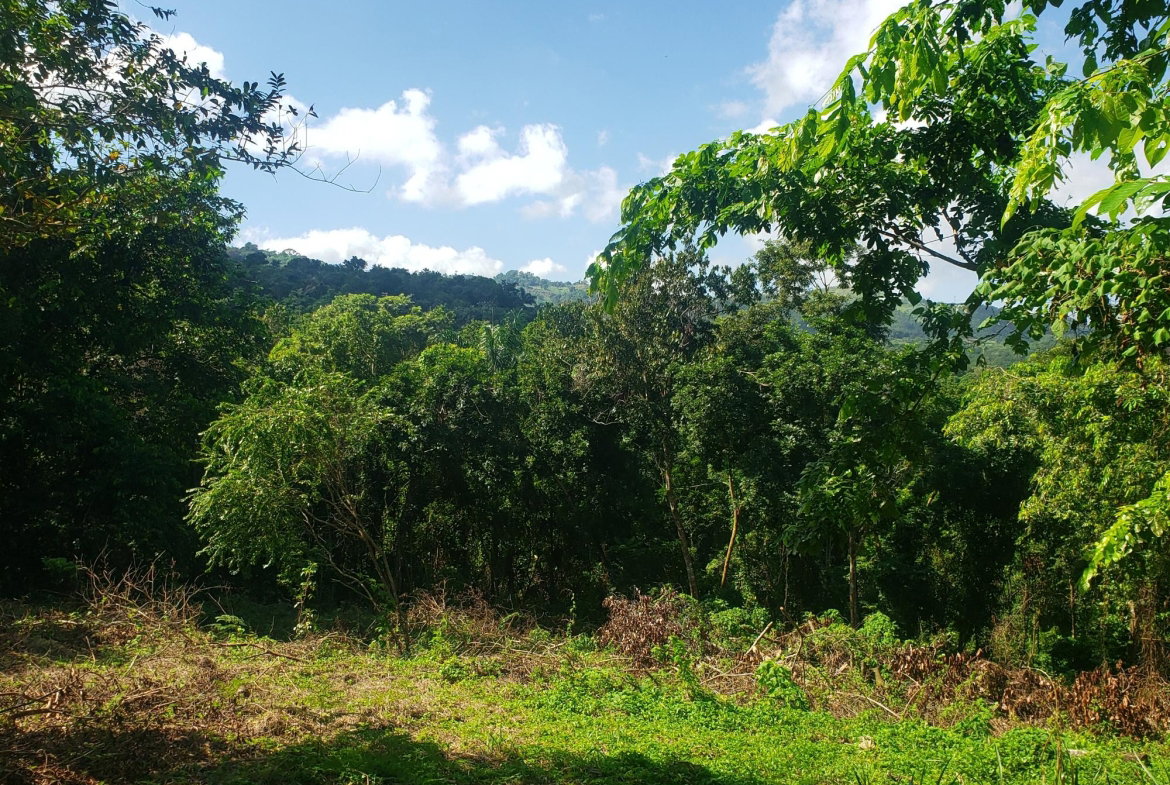 Fifth image of 268 Seville, Farmer's Heights in St. Ann's Bay, St. Ann, Jamaica - property is For Sale
