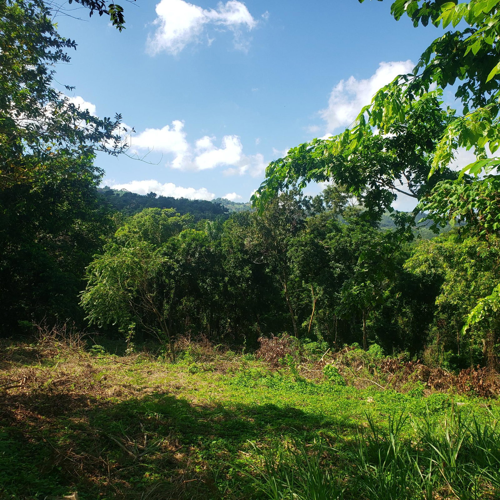 Sea-View-Residential-Lot-for-Sale-in-Farmers-Heights-Jamaica Fifth image of 268 Seville, Farmer's Heights in St. Ann's Bay, St. Ann, Jamaica - property is For Sale