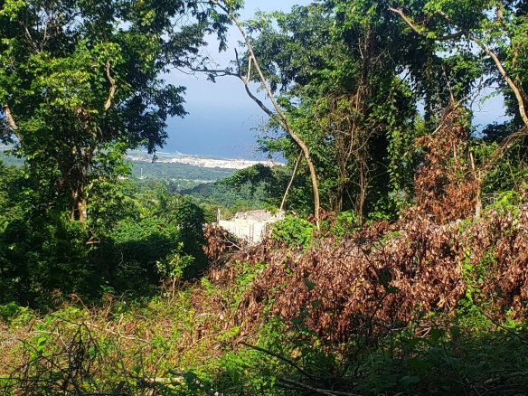First image of 268 Seville, Farmer's Heights in St. Ann's Bay, St. Ann, Jamaica - property is For Sale