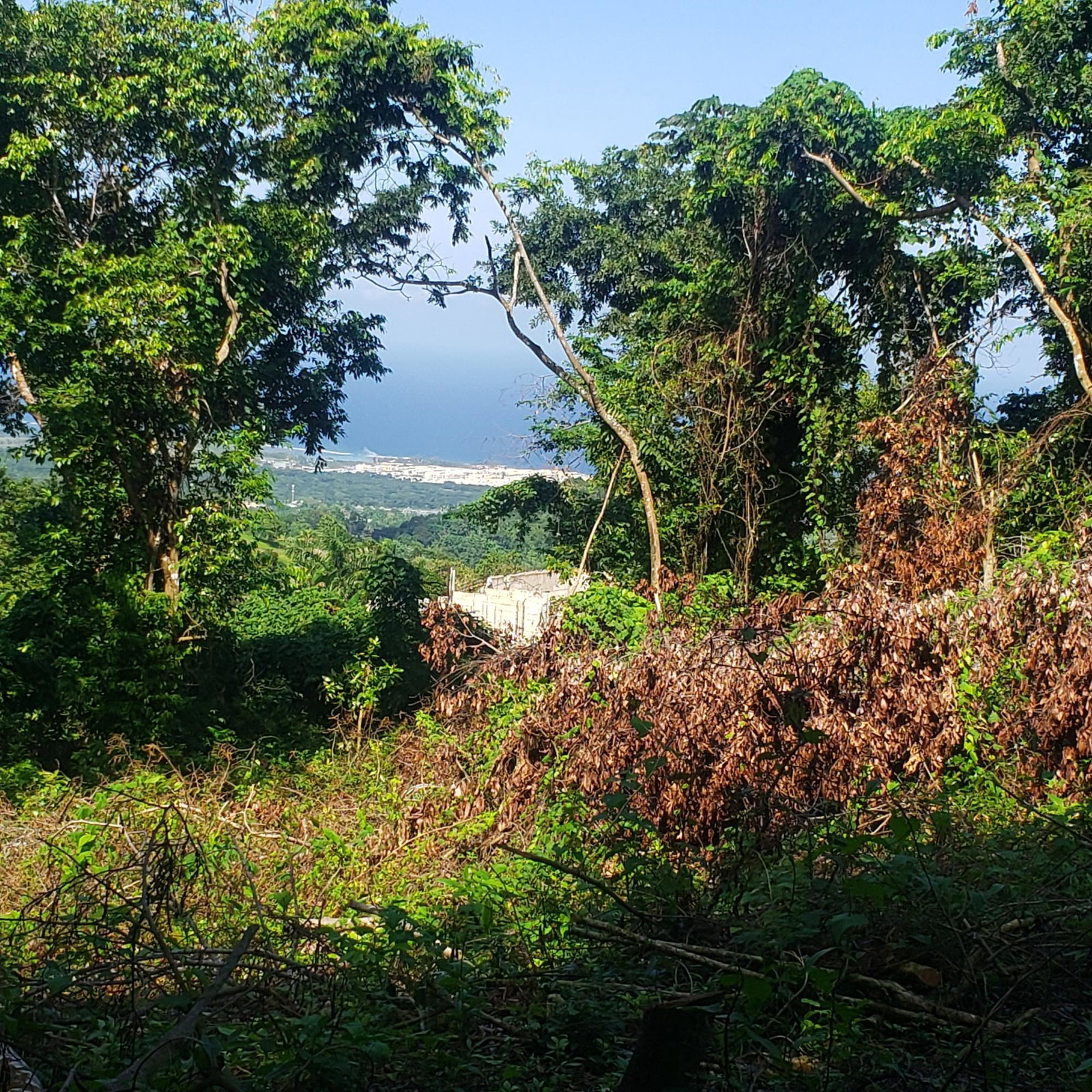 Sea-View-Residential-Lot-for-Sale-in-Farmers-Heights-Jamaica First image of 268 Seville, Farmer's Heights in St. Ann's Bay, St. Ann, Jamaica - property is For Sale