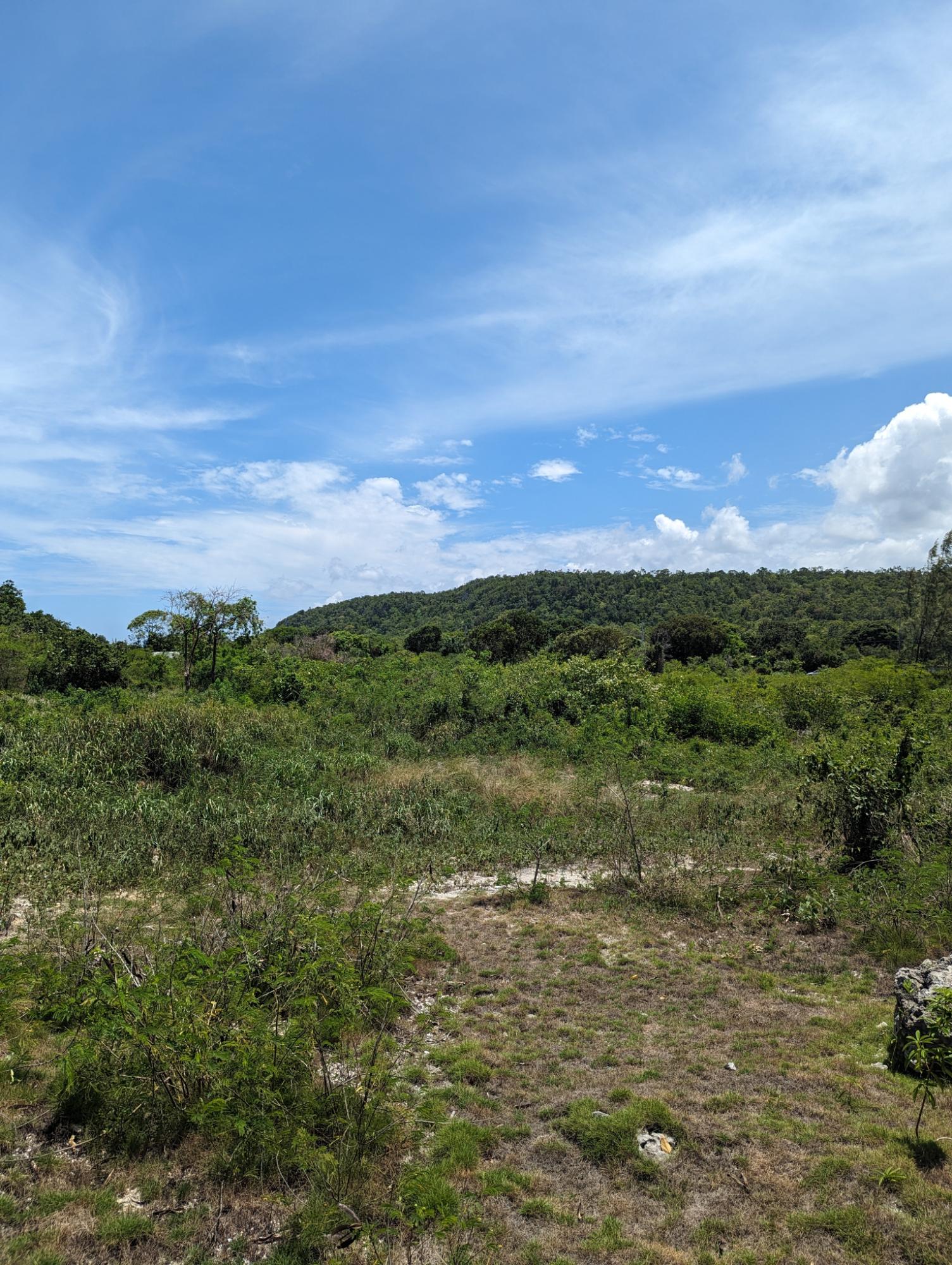 Fourteenth image of Queens Crescent in Discovery Bay, St. Ann, Jamaica - property is For Sale