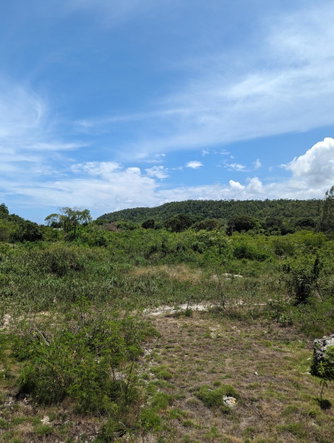 Fourteenth image of Queens Crescent in Discovery Bay, St. Ann, Jamaica - property is For Sale
