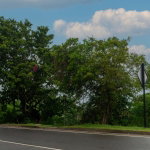 First image of Boscobel in Boscobel, St. Mary, Jamaica - property is For Sale