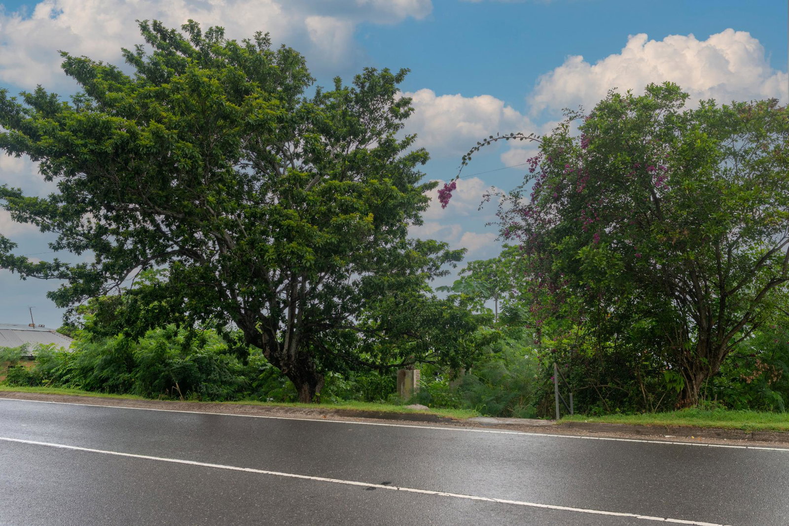 Third image of Boscobel in Boscobel, St. Mary, Jamaica - property is For Sale
