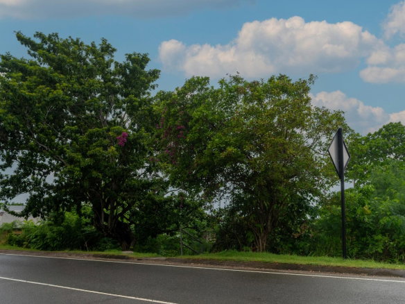 First image of Boscobel in Boscobel, St. Mary, Jamaica - property is For Sale