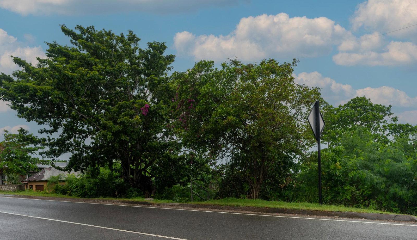 First image of Boscobel in Boscobel, St. Mary, Jamaica - property is For Sale