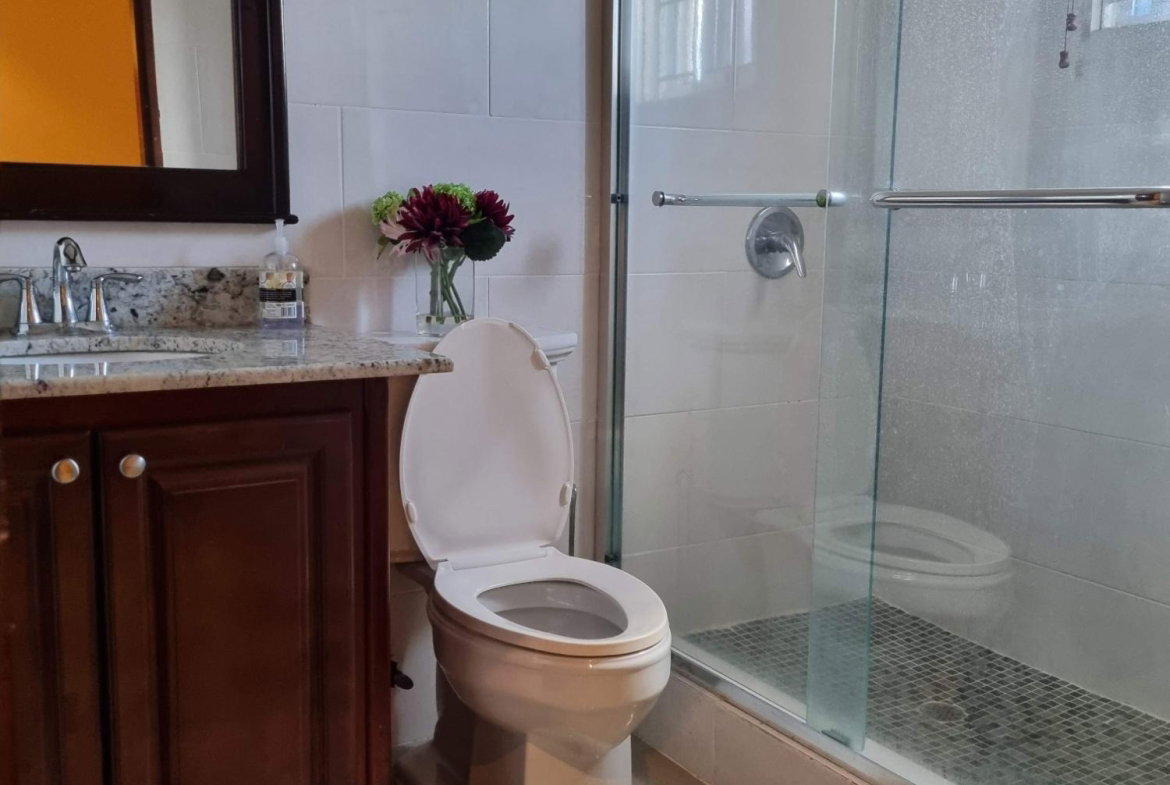 Eighteenth image of 21-63 Paddington Terrace in Kingston 6, St. Andrew, Jamaica - property is For Rent