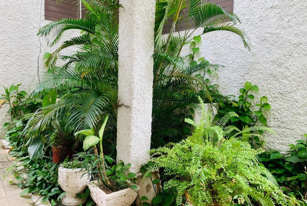 Twenty-First image of 18-7 Kingsway in Kingston 10, St. Andrew, Jamaica - property is For Rent