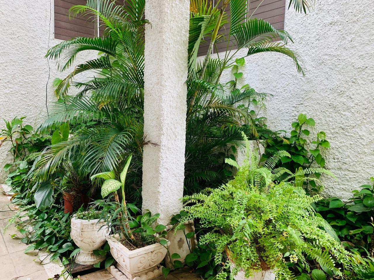 Twenty-First image of 18-7 Kingsway in Kingston 10, St. Andrew, Jamaica - property is For Rent