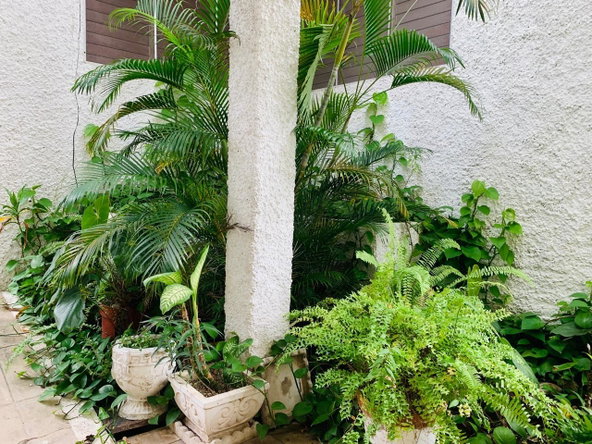 Twenty-First image of 18-7 Kingsway in Kingston 10, St. Andrew, Jamaica - property is For Rent