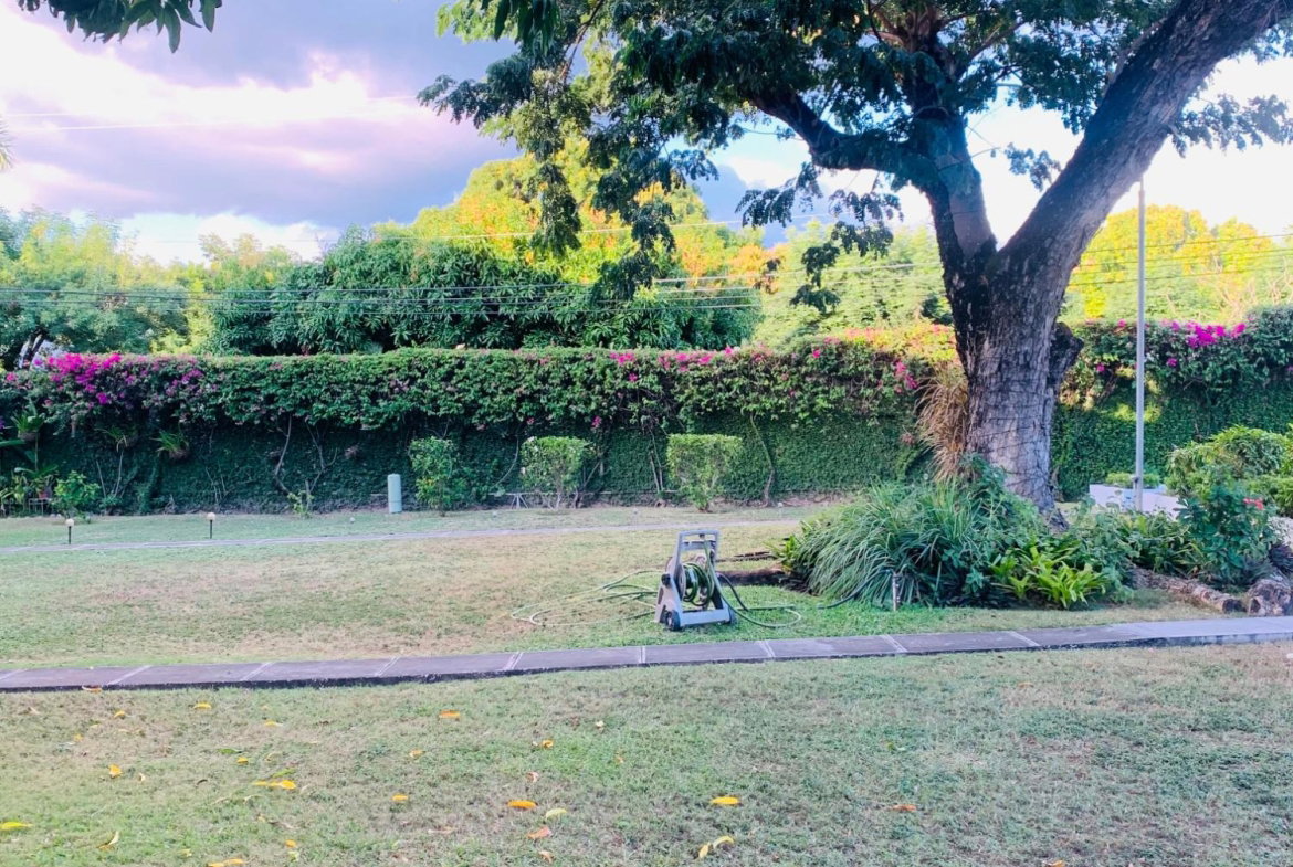 Third image of 8-17 Queensway (10) in Kingston 10, St. Andrew, Jamaica - property is For Rent