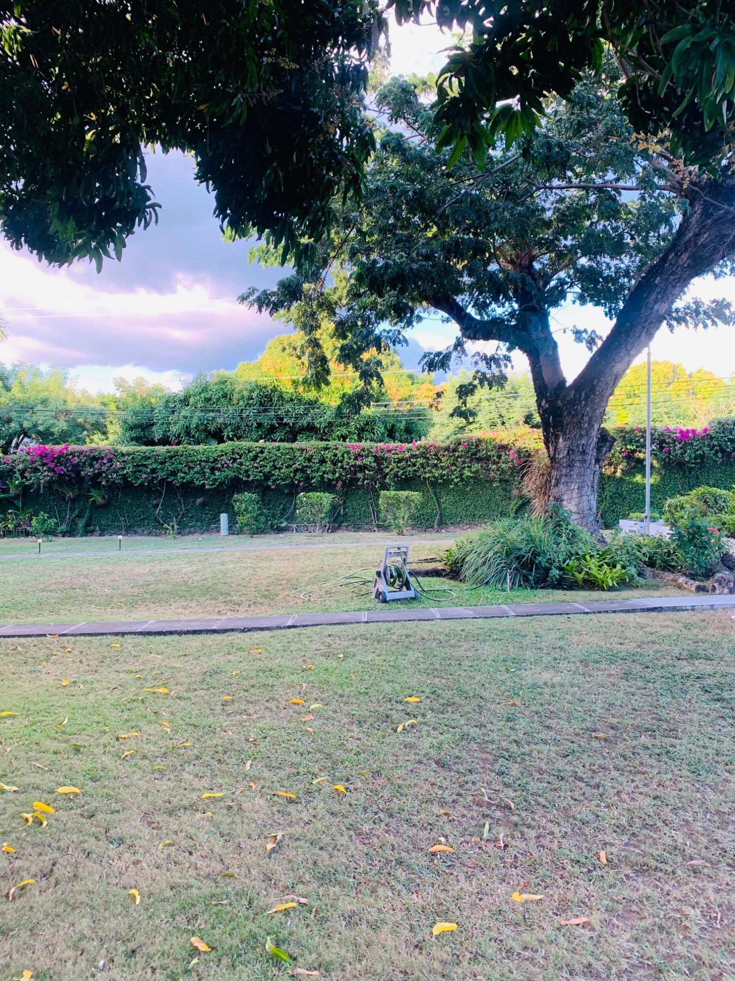 Third image of 8-17 Queensway (10) in Kingston 10, St. Andrew, Jamaica - property is For Rent