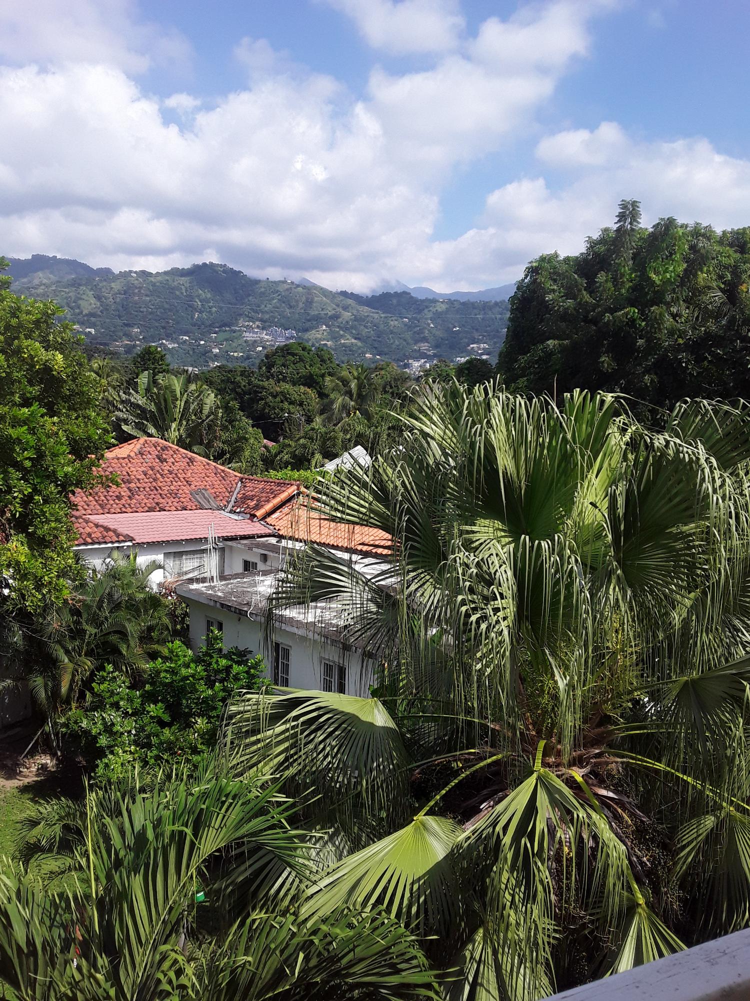 First image of 433-6 Marley Road in Kingston 6, St. Andrew, Jamaica - property is For Rent