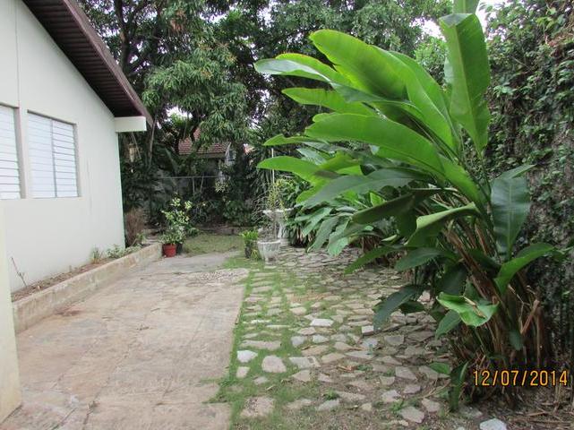 Fourth image of 7 Caribbean Close in Kingston 10, St. Andrew, Jamaica - property is For Rent