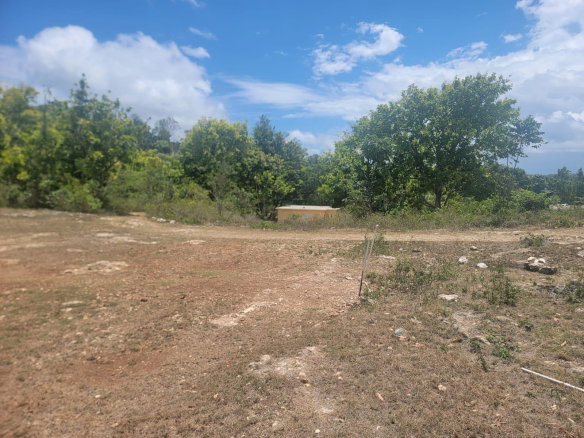 First image of Salt Spring in Salt Spring, St. James, Jamaica - property is For Sale