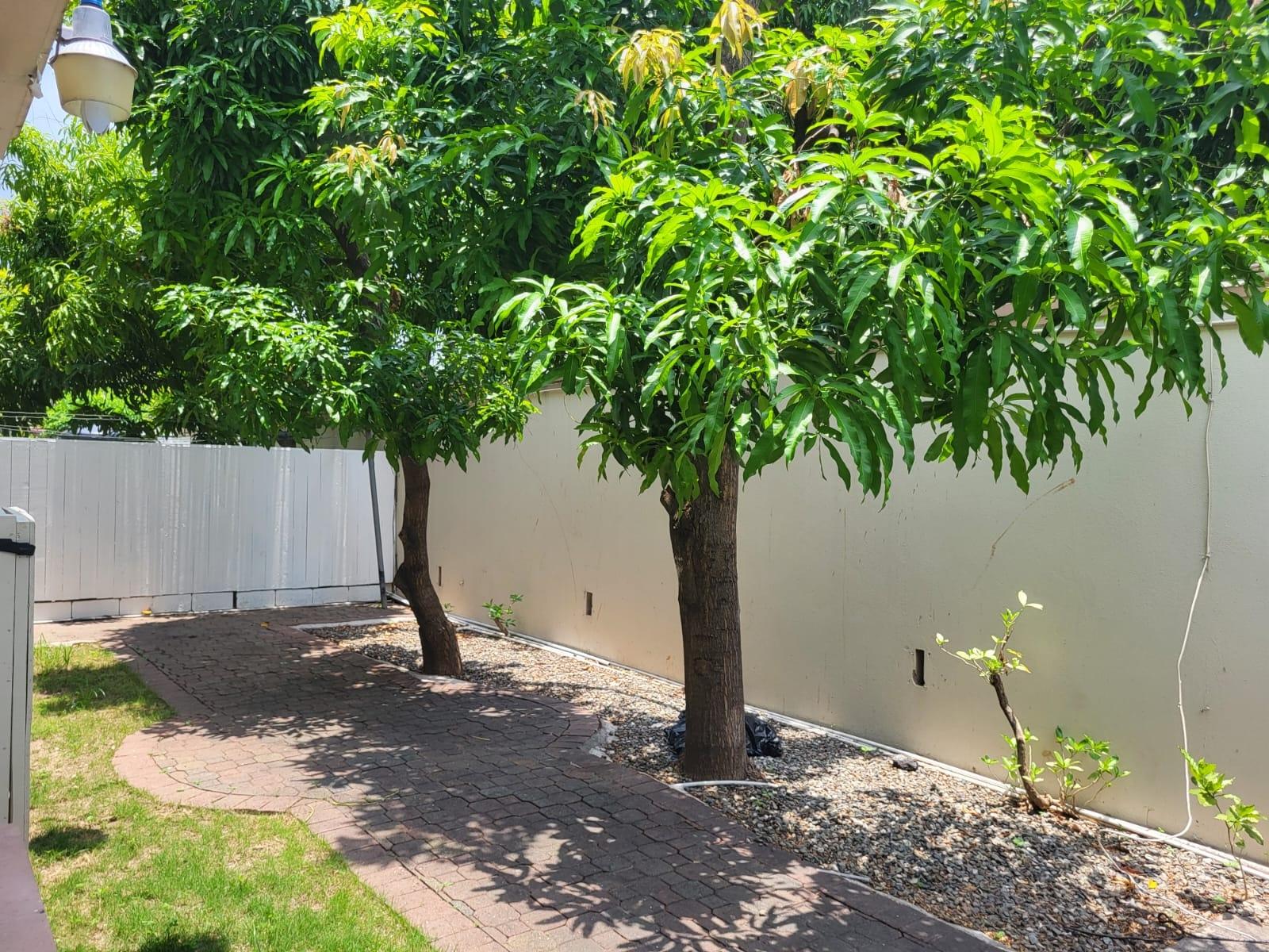Fourteenth image of 11 Kingsway in Kingston 10, St. Andrew, Jamaica - property is For Rent