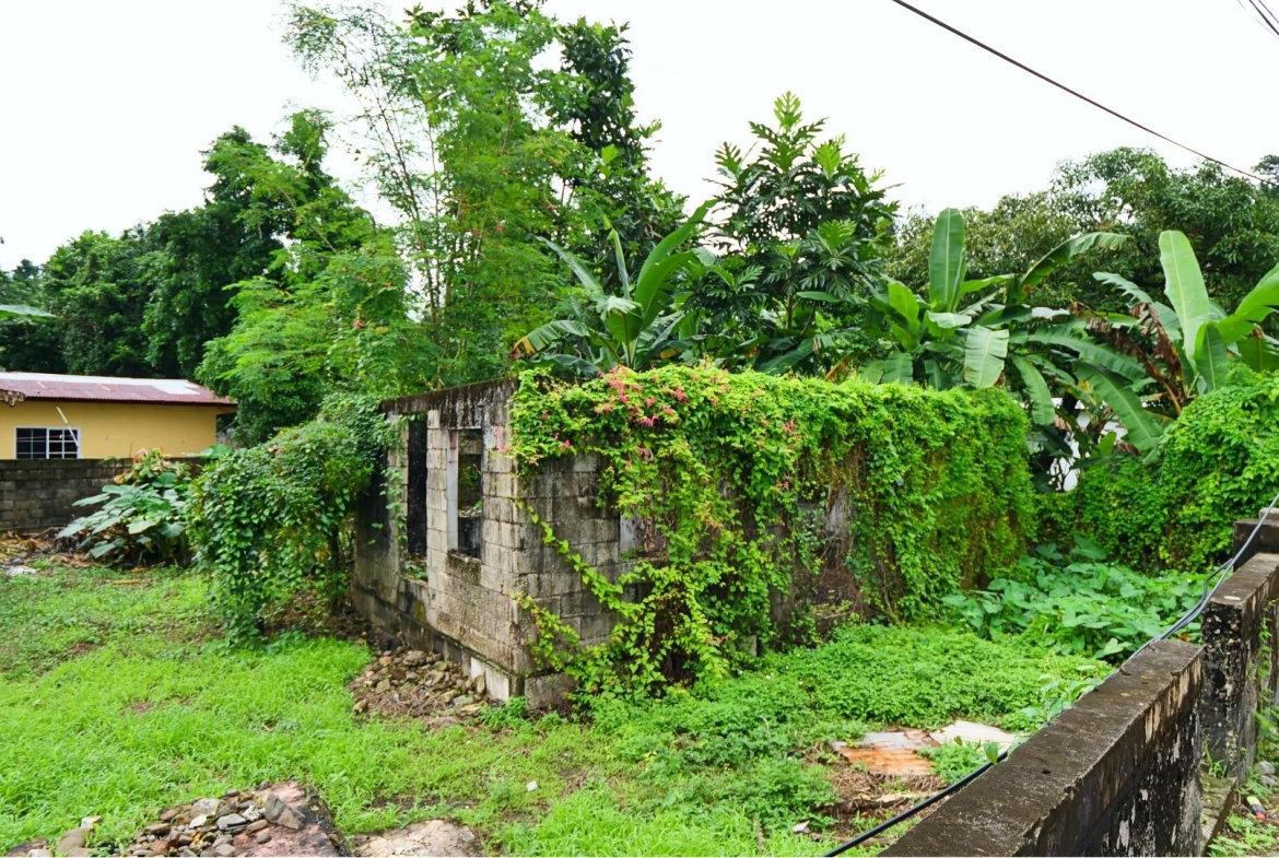 Thirteenth image of Lot 7- Buff Bay, Portland Jamaic in Buff Bay, Portland, Jamaica - property is For Sale