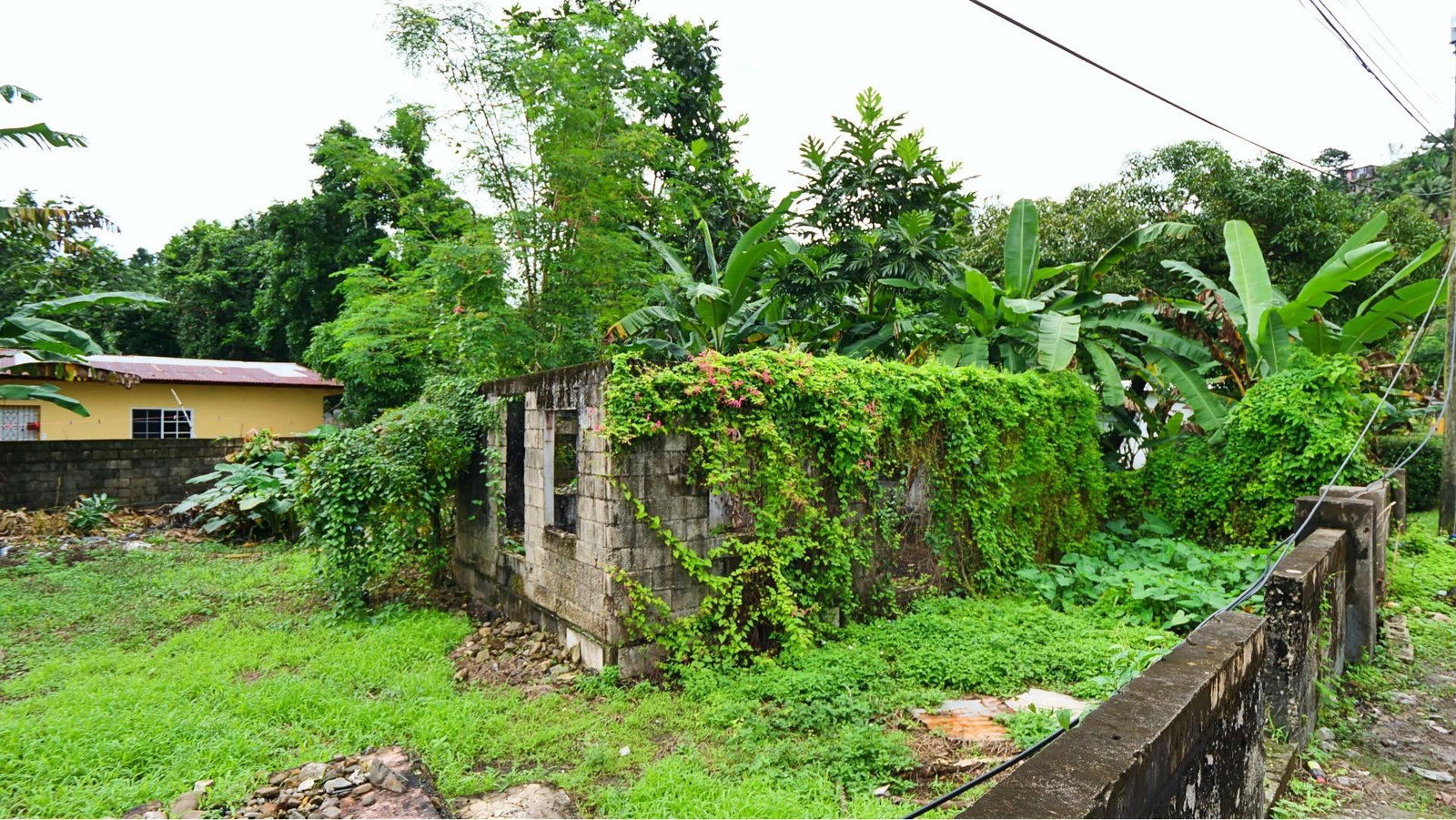 Thirteenth image of Lot 7- Buff Bay, Portland Jamaic in Buff Bay, Portland, Jamaica - property is For Sale