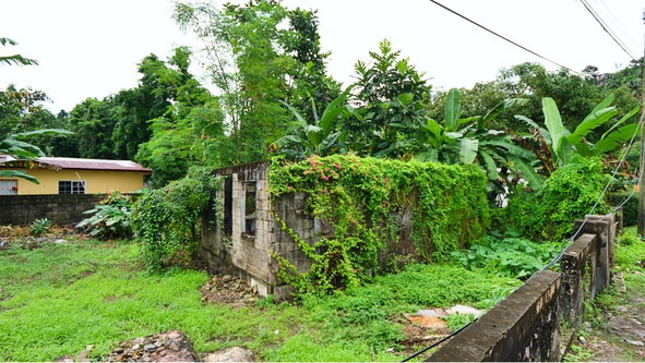 Thirteenth image of Lot 7- Buff Bay, Portland Jamaic in Buff Bay, Portland, Jamaica - property is For Sale