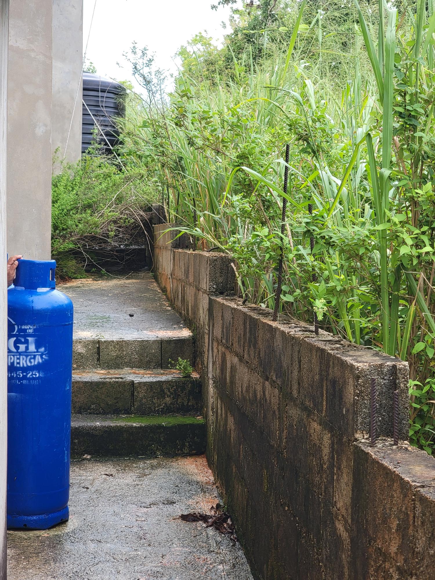Eleventh image of Bellevue, Southfield in Southfield, St. Elizabeth, Jamaica - property is For Sale