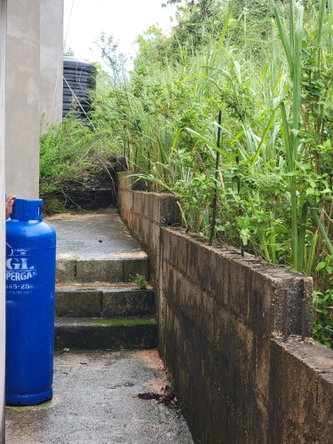 Eleventh image of Bellevue, Southfield in Southfield, St. Elizabeth, Jamaica - property is For Sale